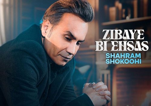 دانلود آهنگ زیبای بی احساس از شهرام شکوهی با کیفیت 320 و متن آهنگ