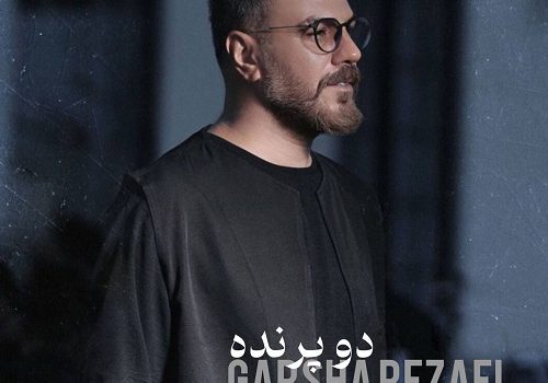 دانلود آهنگ دو پرنده از گرشا رضایی با کیفیت 320 و 128 + متن آهنگ